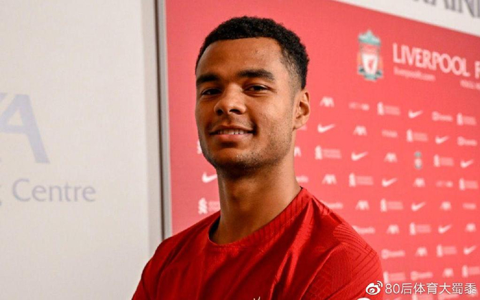 淋漓的胜利 淋漓的胜利